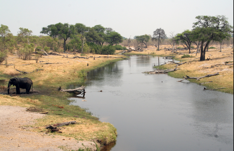 Savuti Channel, Chobe National Park, Botswana